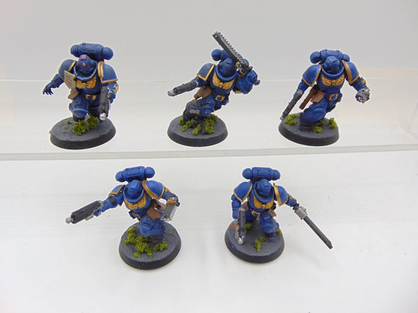 Assault Intercessors