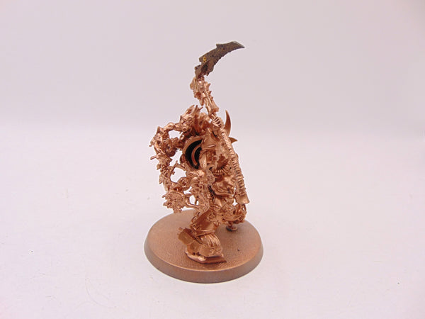 Typhus, Herald of the Plague God