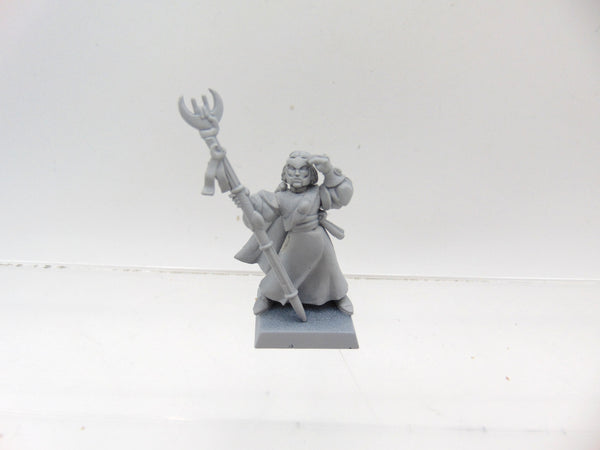 High Elf Mage Conversion
