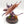 Winged Tyranid Prime