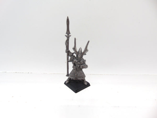 High Elf Hero with Spear