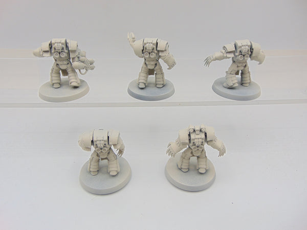 Cataphractii Terminator Squad