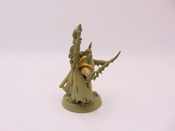 Plague Champion Gangrus