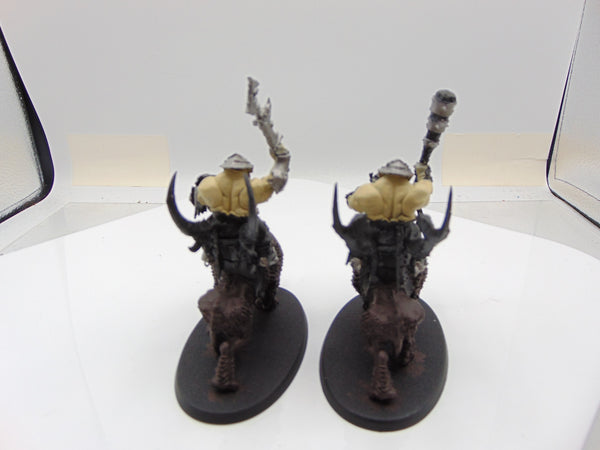 Mournfang Cavalry Pack