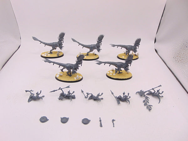 Raptadon Hunters