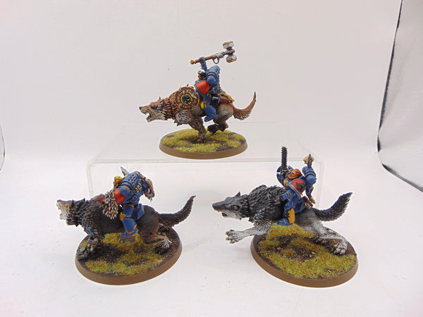 Thunderwolf Cavalry