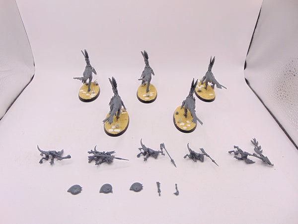Raptadon Hunters