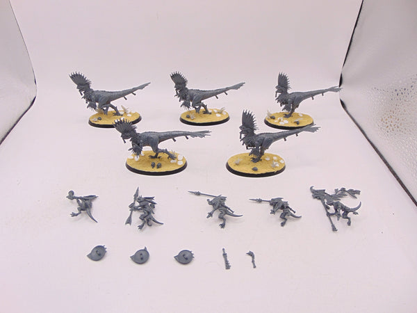 Raptadon Hunters