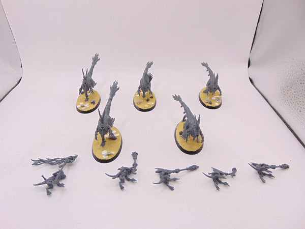 Raptadon Chargers