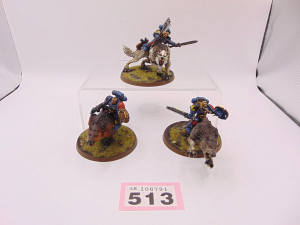 Thunderwolf Cavalry
