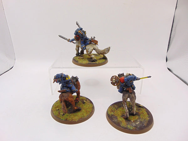 Thunderwolf Cavalry