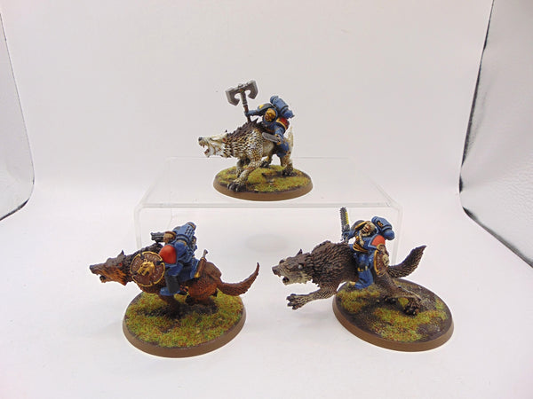 Thunderwolf Cavalry