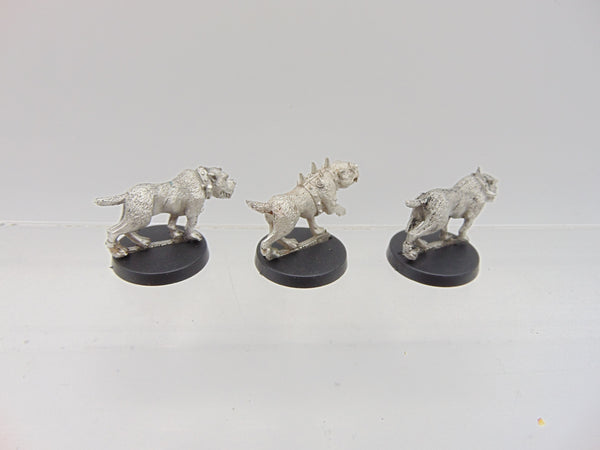 Witch Hunters War Hounds