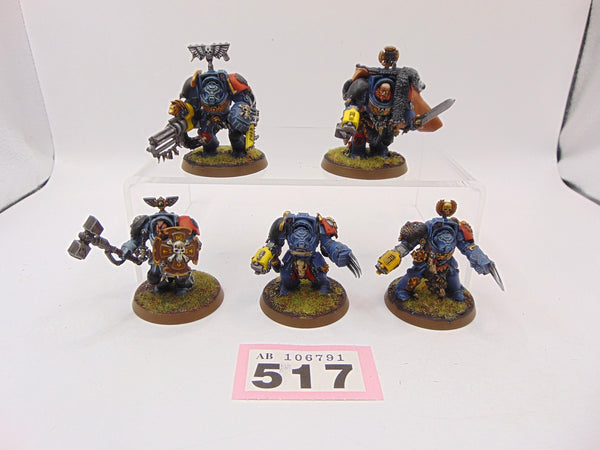 Wolf Guard Terminators