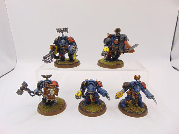Wolf Guard Terminators