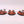 Canoptek Scarab Swarms