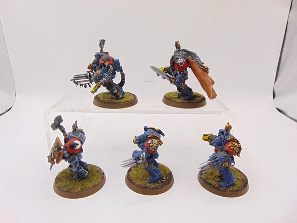 Wolf Guard Terminators
