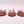 Canoptek Scarab Swarms