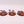 Canoptek Scarab Swarms
