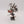 Queek Headtaker