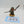 Cultist Champion