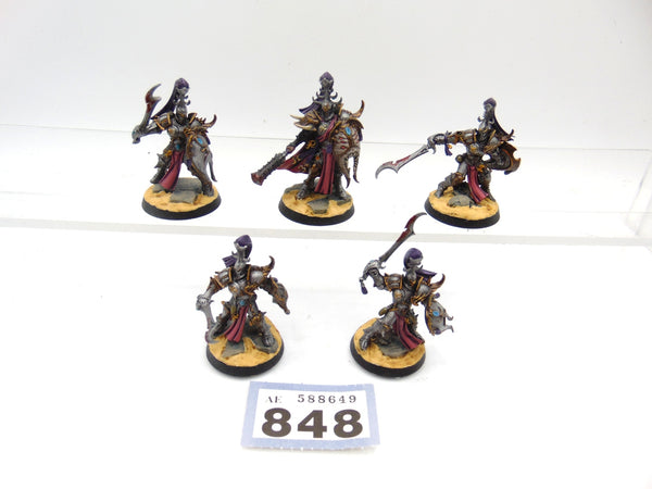 Myrmidesh Painbringers