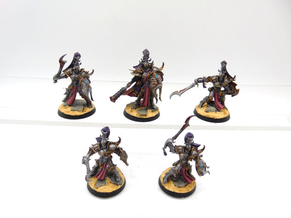 Myrmidesh Painbringers