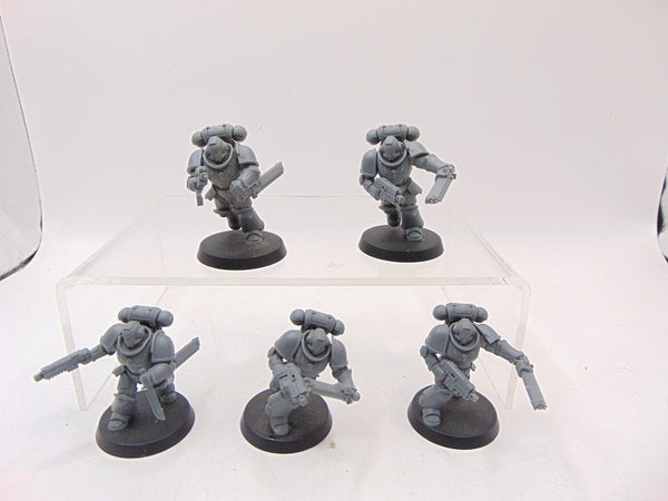 Assault Intercessors