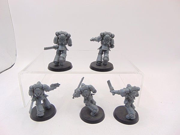 Assault Intercessors