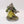 Lord of Virulence