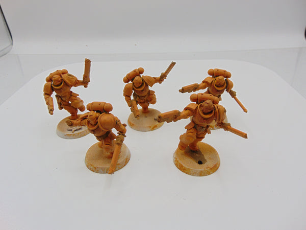 Assault Intercessors