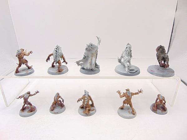 Royal Beastflayers
