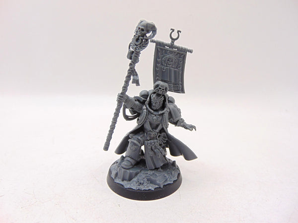 Chief Librarian Tigurius