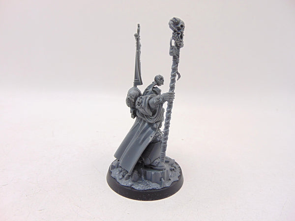 Chief Librarian Tigurius