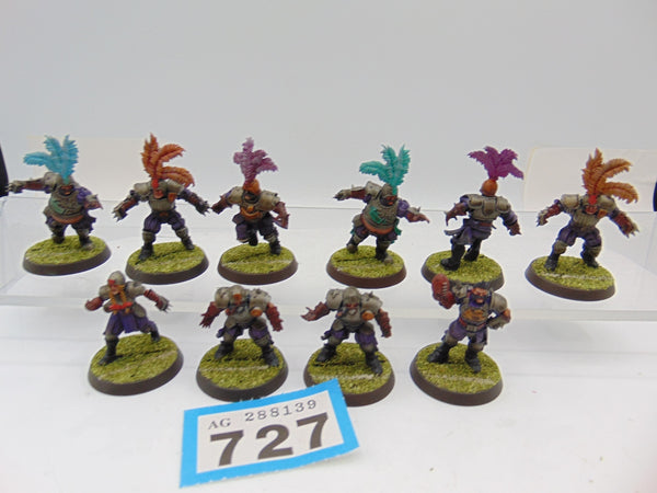 Human Blood Bowl Team