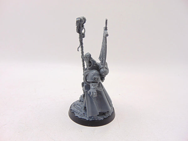 Chief Librarian Tigurius