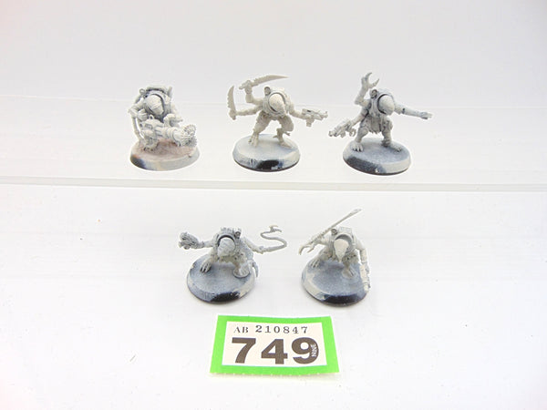 Acolyte Hybrids