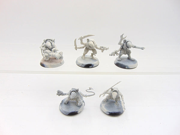 Acolyte Hybrids