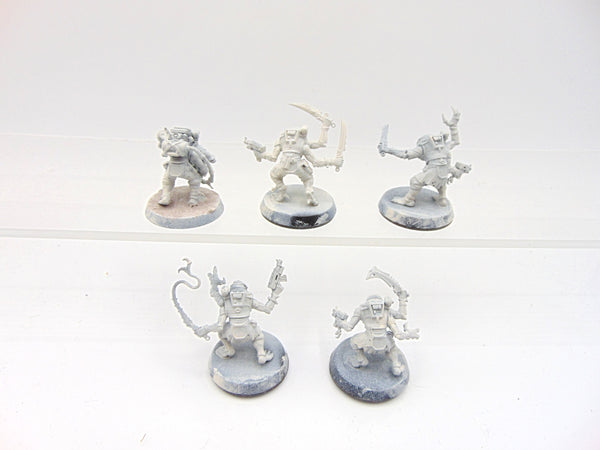 Acolyte Hybrids