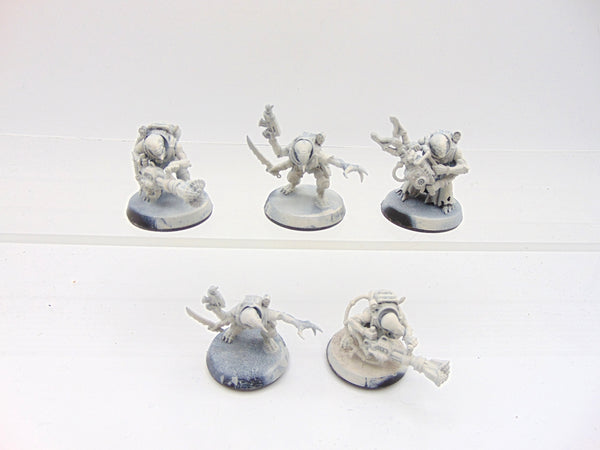 Acolyte Hybrids