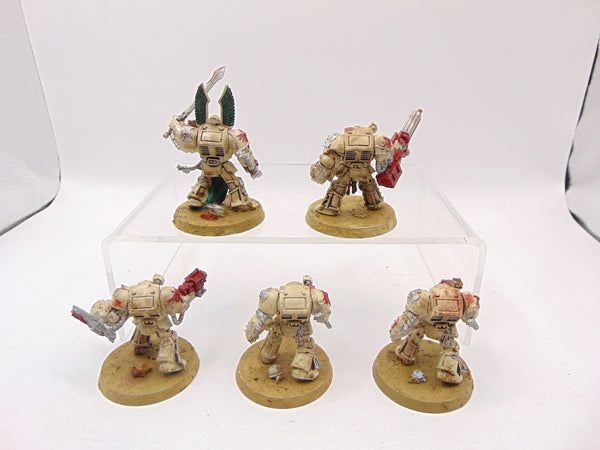 Deathwing Terminator Squad