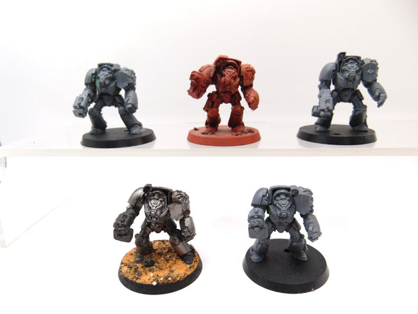 Terminator Squad