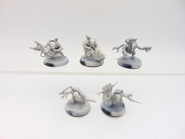 Acolyte Hybrids