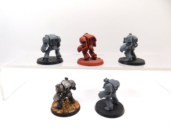 Terminator Squad