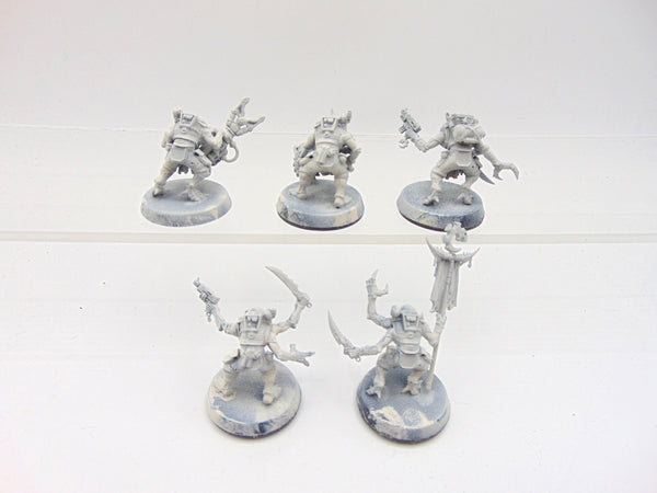 Acolyte Hybrids