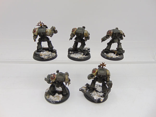 Terminator Squad