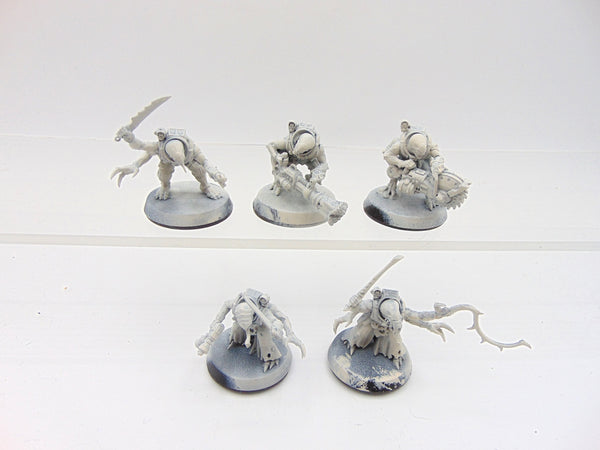 Acolyte Hybrids