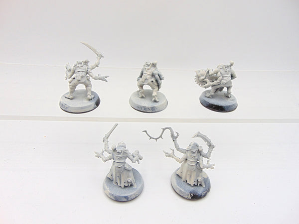 Acolyte Hybrids