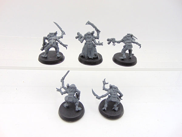 Acolyte Hybrids