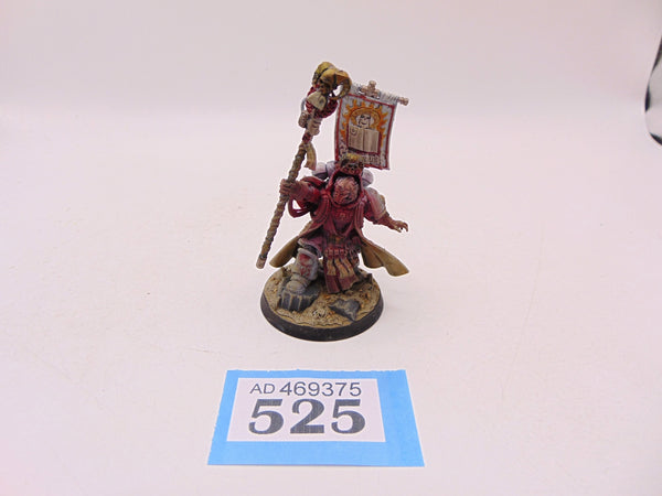 Chief Librarian Tigurius